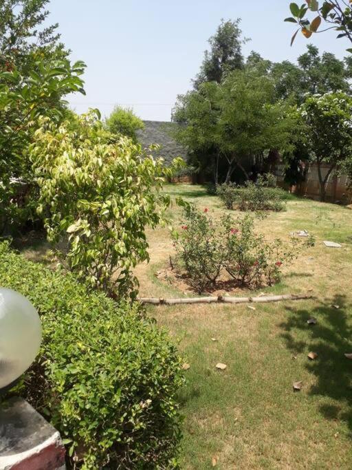 Вилла Achal Farm जंगल में मंगल Гургаон Экстерьер фото