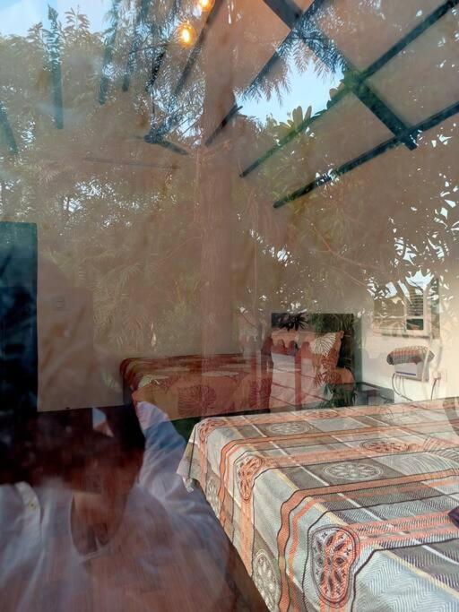 Вилла Achal Farm जंगल में मंगल Гургаон Экстерьер фото