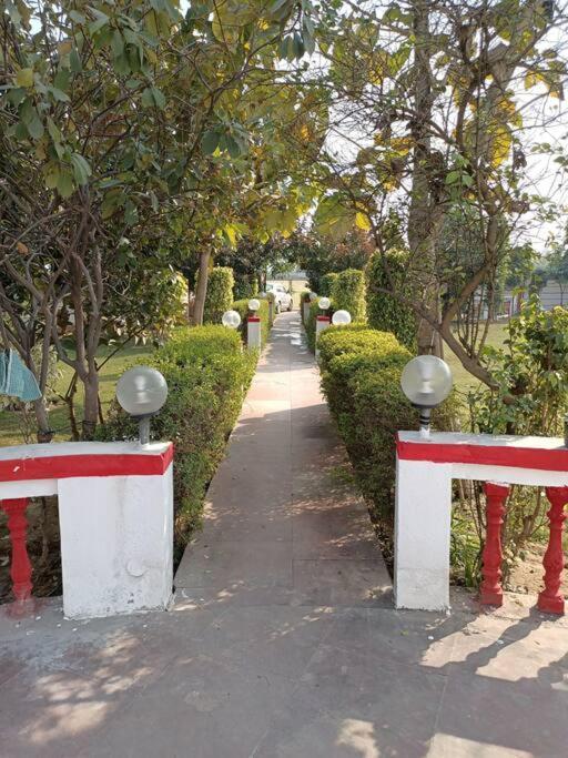 Вилла Achal Farm जंगल में मंगल Гургаон Экстерьер фото