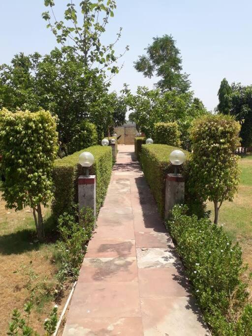 Вилла Achal Farm जंगल में मंगल Гургаон Экстерьер фото