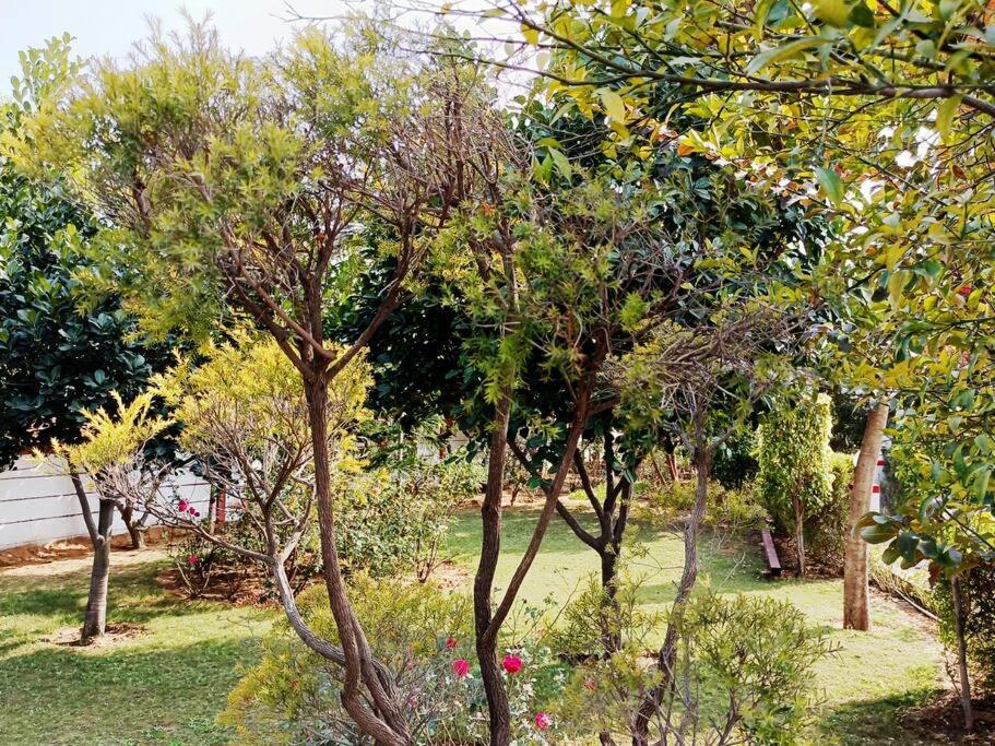 Вилла Achal Farm जंगल में मंगल Гургаон Экстерьер фото